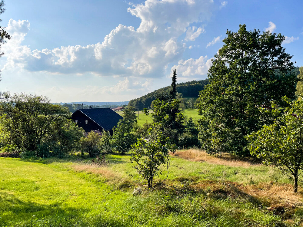 Grundstück zum Kauf 198.000 € 832 m²<br/>Grundstück Schalchen 5231