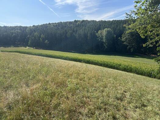 Land-/Forstwirtschaft zum Kauf 360.000 € 40.000 m² Grundstück Wetzl Zeilarn 84367