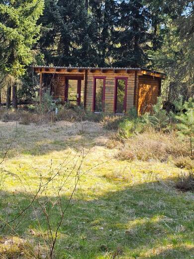 Grundstück zum Kauf 37.000 € 1.737 m² Grundstück Wesendorf Wesendorf 29392