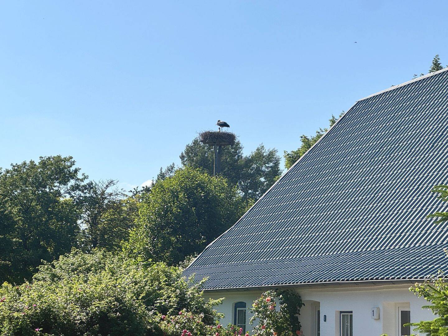 Haus zum Kauf - Ansicht 2