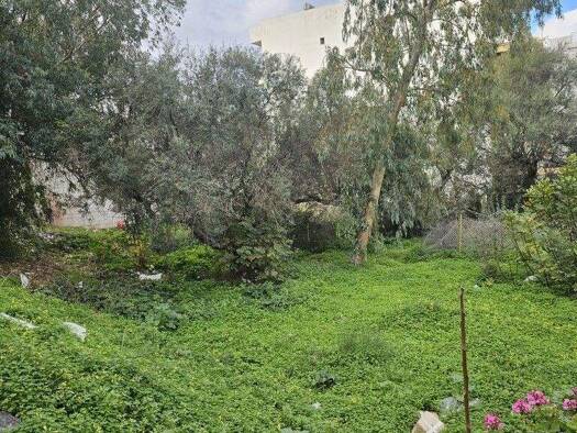 Land-/Forstwirtschaft zum Kauf 900.000 € 299 m² Grundstück Kreta