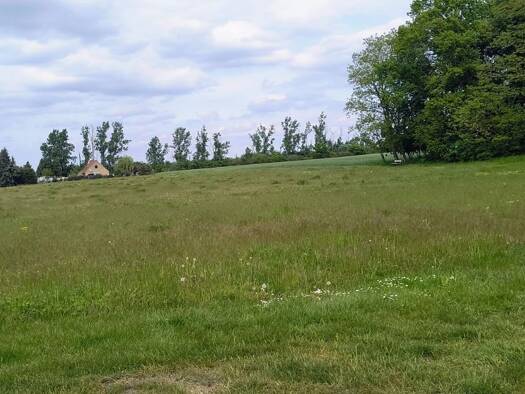 Grundstück zum Kauf 40.000 € 3.341 m² Grundstück frei ab sofort Gräfendorf Niederer Fläming 14913