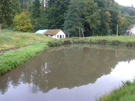 Land-/Forstwirtschaft zum Kauf 220 m² 55.000 m² Grundstück Kirf 54441