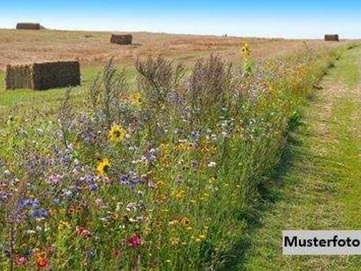 Land-/Forstwirtschaft zum Kauf 43.000 € 4.300 m² Grundstück Homberg Homberg (Ohm) 35315