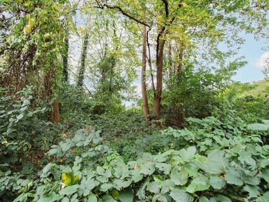 Grundstück zum Kauf 59.000 € 924 m² Grundstück Vochem Brühl 50321