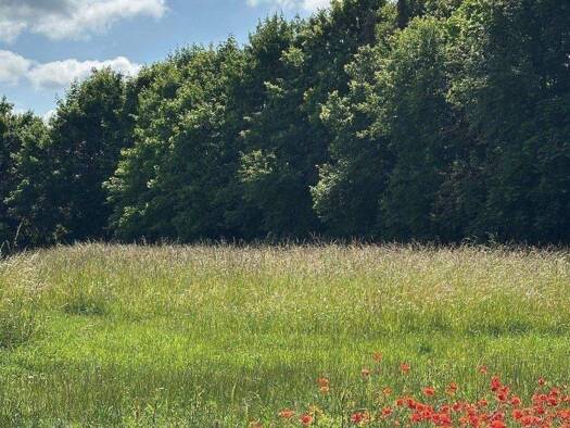 Grundstück zum Kauf 365.000 € 1.100 m² Grundstück Niederwerrn 97464