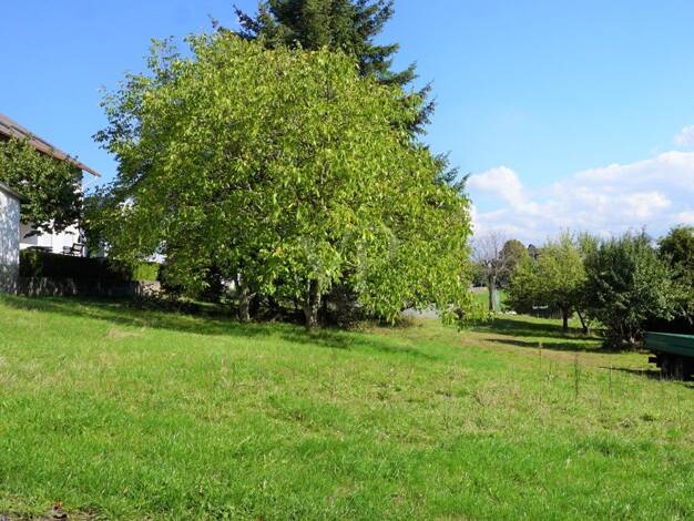 Grundstück zum Kauf 129.000 € 1.634 m² Grundstück Struth Flieden 36103