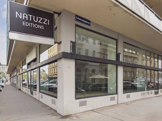 Laden zur Miete 25,03 € 307,7 m² Verkaufsfläche Wien 1010