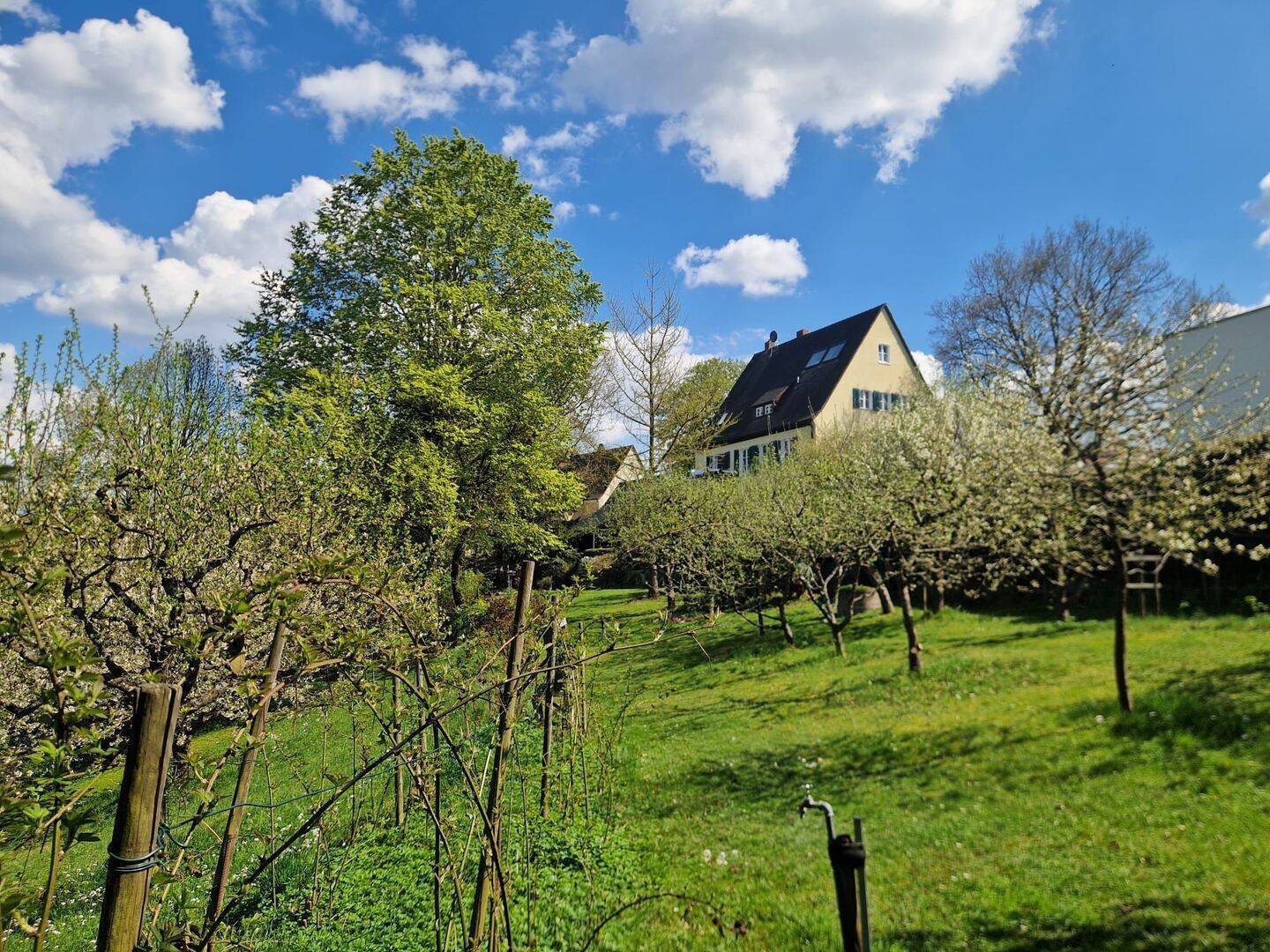 Villa zum Kauf - Ansicht 6