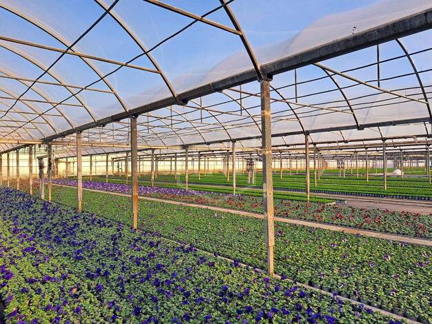 Gartenbau zum Kauf 445.000 € 13.500 m² 24.037 m² Grundstück St. Hubert Kempen 47906