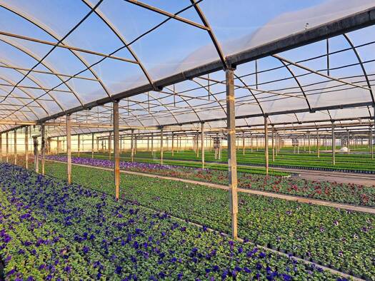 Gartenbau zum Kauf 445.000 € 13.500 m² 24.037 m² Grundstück St. Hubert Kempen 47906