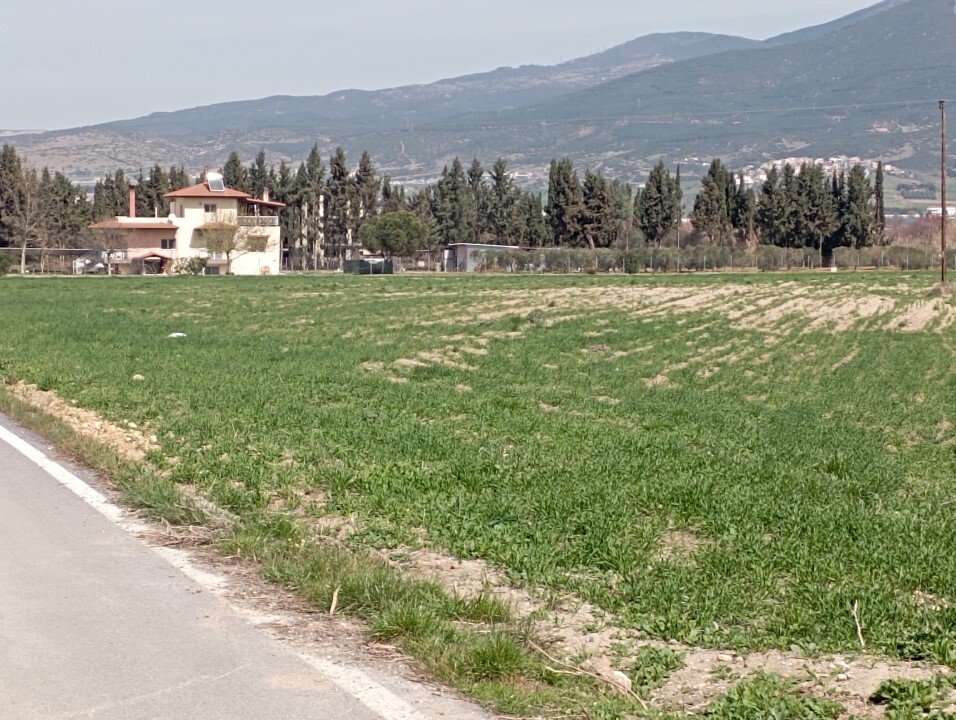 Land-/Forstwirtschaft zum Kauf 90.000 € 5.650 m²<br/>Grundstück Thessaloniki