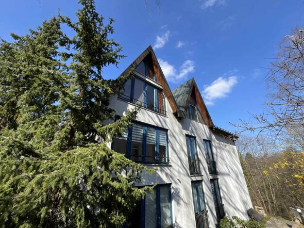 Wohnung zur Miete 713 € 2 Zimmer 75 m² 1. Geschoss frei ab sofort Ulrichstr. 11 Loschwitz/Wachwitz Dresden 01326