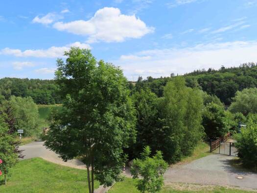 Mehrfamilienhaus zum Kauf 69.500 € 8 Zimmer 184 m² 650 m² Grundstück frei ab sofort Zeulenroda Zeulenroda-Triebes 07937