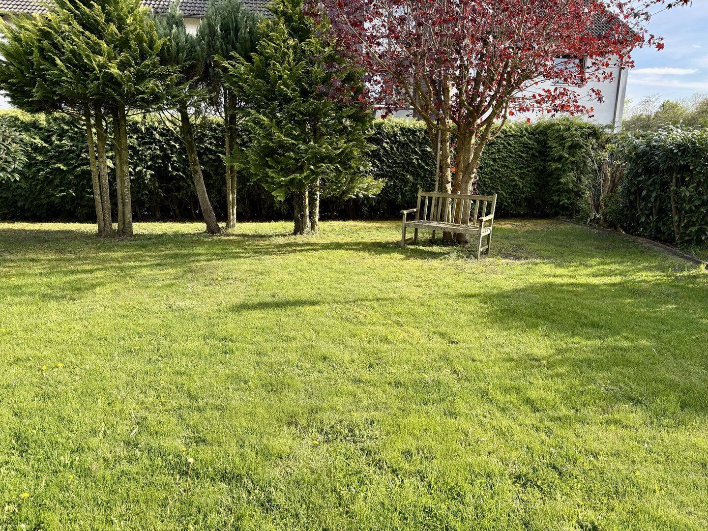 Einfamilienhaus zum Kauf - Ansicht 6