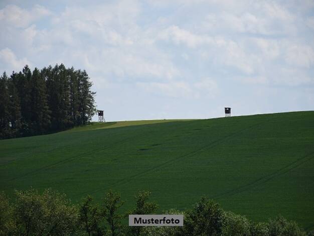 Land-/Forstwirtschaft zum Kauf 7.990 € 12.680 m² Grundstück Großkmehlen Großkmehlen 01990