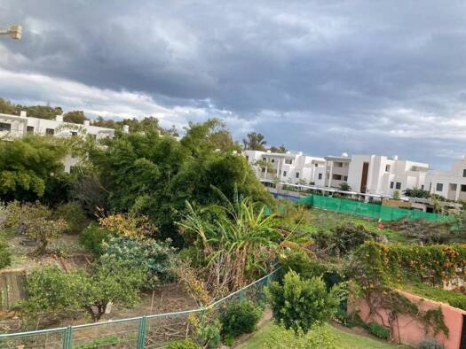 Acker-/Waldstück zum Kauf 1.685.000 € Casares 29690