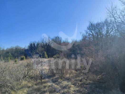 Acker-/Waldstück zum Kauf 64.000 € Svetvinčenat 52342