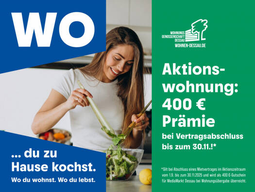 Wohnung zur Miete 300 € 1 Zimmer 41,6 m² 1. Geschoss Pappelgrund 24 Zoberberg Dessau-Roßlau 06847