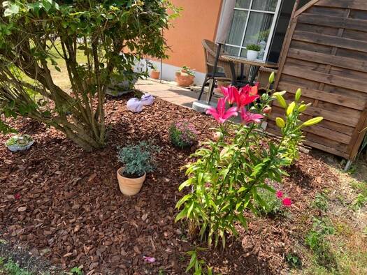 Terrassenwohnung zur Miete 570 € 2 Zimmer 45 m² Geschoss EG/3 frei ab 01.02.2026 Rohrbach 85296