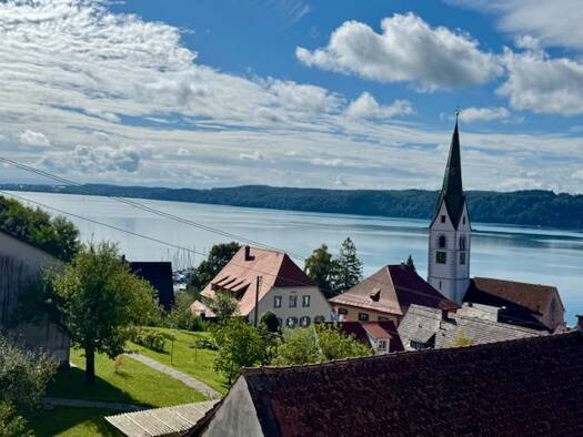 Haus zum Kauf 450.000 € 250 m² 137 m² Grundstück frei ab sofort Sipplingen 78354