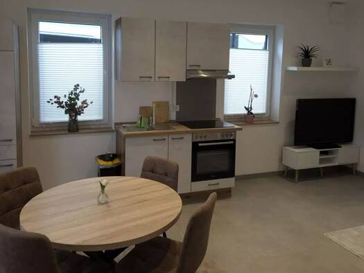 Wohnung zur Miete 700 € 1 Zimmer 43 m² frei ab sofort Trier-Nord Trier 54296