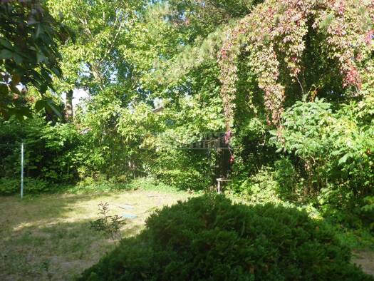 Doppelhaushälfte zum Kauf 1.065.000 € 4 Zimmer 110 m² 735 m² Grundstück frei ab sofort Westenviertel Regensburg 93049