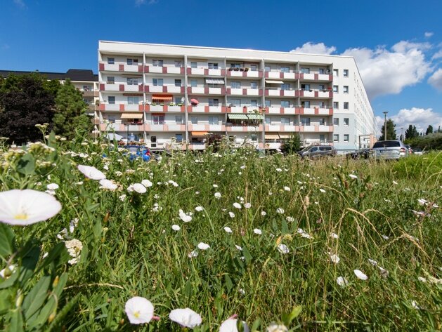 Wohnung zur Miete 316 € 2 Zimmer 48,6 m²<br/>Wohnfläche 1.<br/>Geschoss Thietmarstraße 8 Neustädter Feld Ost Magdeburg, 1. Etage links 39128