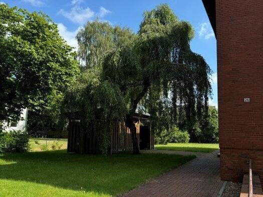 Wohnung zur Miete 820 € 3,5 Zimmer 90 m² frei ab 01.12.2026 Zeven Zeven 27404