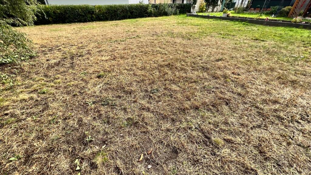 Grundstück zum Kauf 199.000 € 448 m² Grundstück Mahlsdorf Berlin 12623