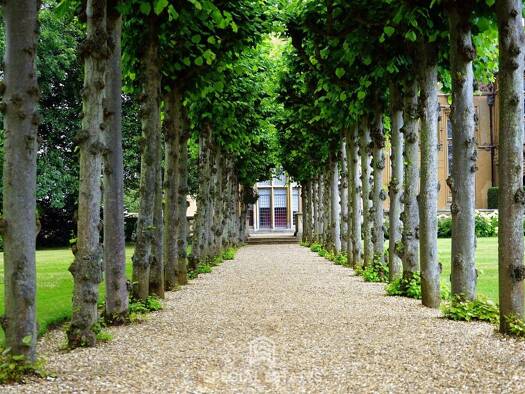Einfamilienhaus zum Kauf 6 Zimmer 350 m² 25.000 m² Grundstück Lauenburg/Elbe 21481