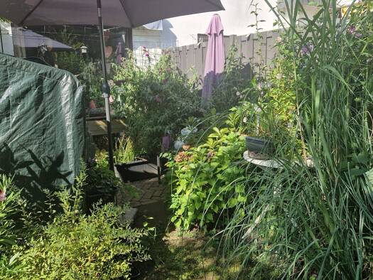 Terrassenwohnung zur Miete 1.300 € 6 Zimmer 179 m² Geschoss EG/2 frei ab 01.11.2026 Kirchstraße 1 Sonsbeck Sonsbeck 47665