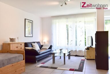 Wohnung zur Miete Wohnen auf Zeit 870 € 1 Zimmer 34 m² frei ab 01.03.2025 Gleuel Hürth 50354