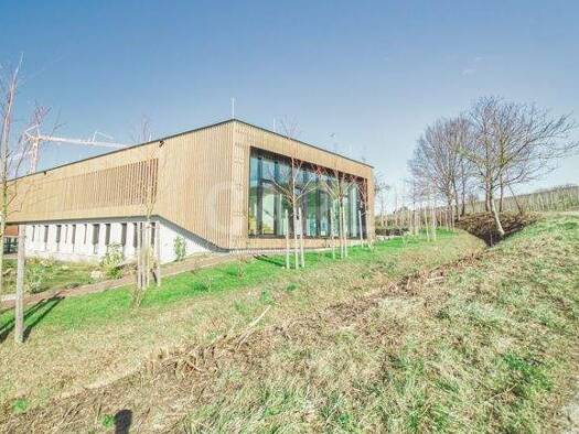 Bürofläche zur Miete 617,1 m² Bürofläche Neckarsulm 74172