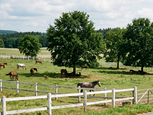 Bauernhaus zum Kauf provisionsfrei 10.000.000 € 15 Zimmer 450 m² 60.000 m² Grundstück Starnberg 82319