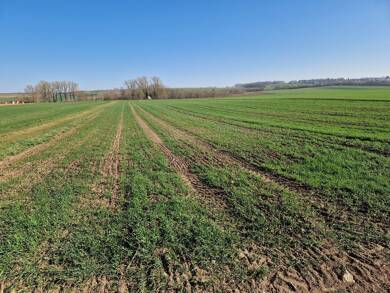 Land-/Forstwirtschaft zum Kauf 7.470 m² Grundstück Belzheim Belzheim 86741