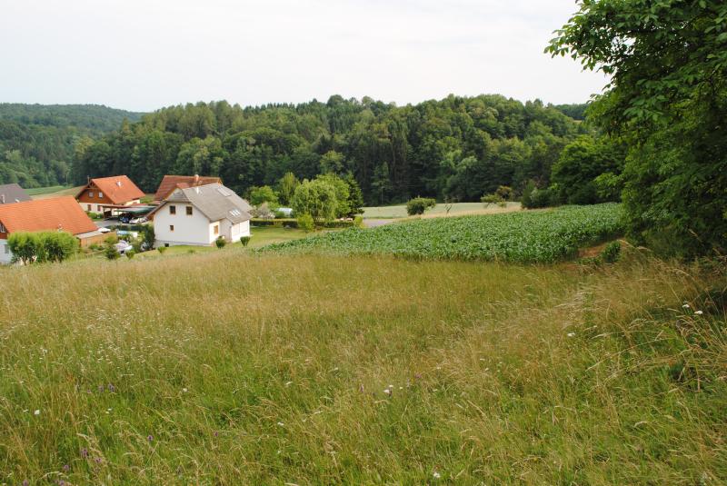 Grundstück zum Kauf provisionsfrei 80 € Edelstauden 8081