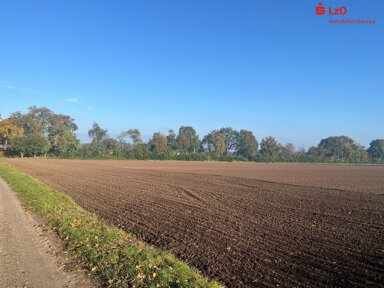 Land-/Forstwirtschaft zum Kauf 49.490 m² Grundstück Lodbergen Löningen 49624