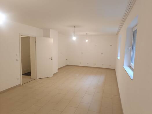 Wohnung zur Miete 690 € 2 Zimmer 68 m² Geschoss -1/4 frei ab sofort Irsch Trier 54296