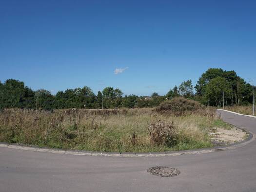 Grundstück zum Kauf provisionsfrei 151.250 € 605 m² Grundstück Bitburg 54634