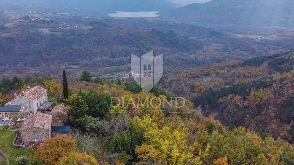 Land-/Forstwirtschaft zum Kauf 299.000 € Motovun Motovun