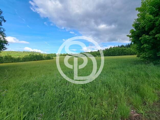 Gewerbegrundstück zum Kauf 1.250.000 € 33.621 m² Grundstück frei ab sofort Lichtenberg Lichtenberg 95192