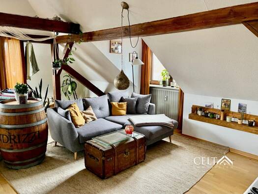 Mehrfamilienhaus zum Kauf 2.250.000 € 24 Zimmer 539 m² 473 m² Grundstück Reinhausen Regensburg 93059