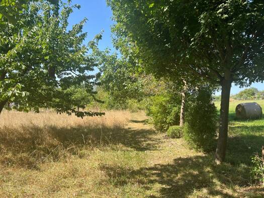 Bungalow zum Kauf - Erstbezug provisionsfrei 550.000 € 4 Zimmer 102 m² 757 m² Grundstück Limbach Wilsdruff 01723