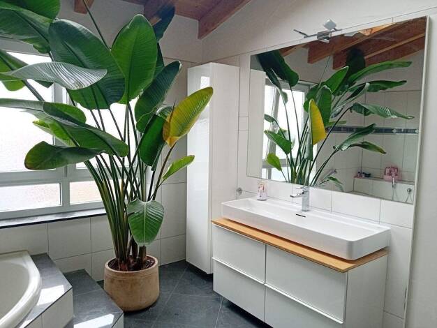 Penthouse zur Miete 1.950 € 5,5 Zimmer 213 m² Schorndorf 73614