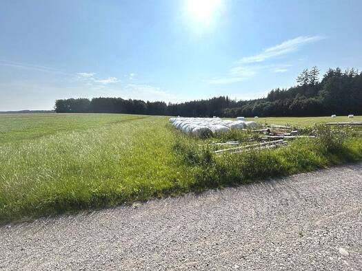 Land-/Forstwirtschaft zum Kauf 59.000 € 11.153 m² Grundstück Kirchhaslach Kirchhaslach 87755