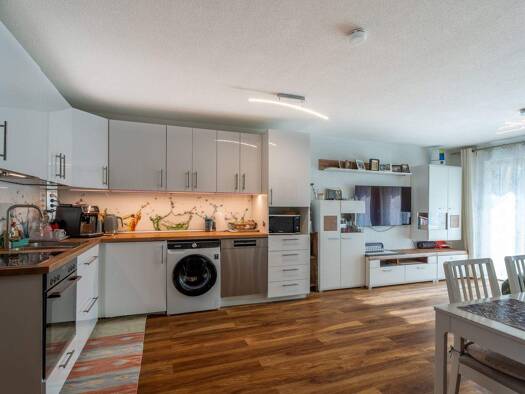 Wohnung zum Kauf 209.000 € 2 Zimmer 54 m² 3 Geschosse Singen Singen (Hohentwiel) 78224