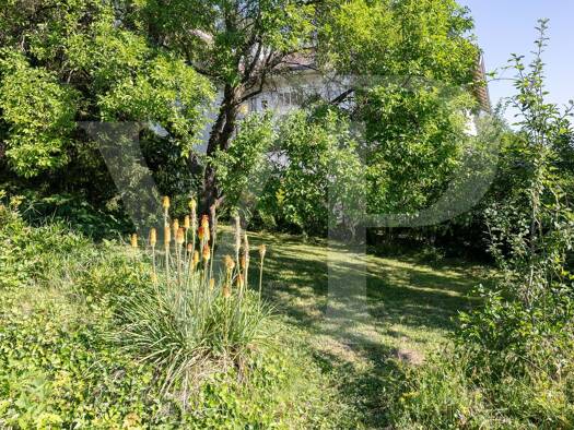 Grundstück zum Kauf 1.290.000 € 1.050 m² Grundstück Maria Enzersdorf 2344
