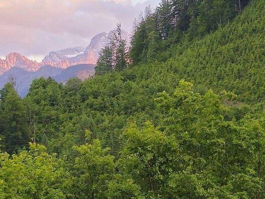 Bauernhof zum Kauf 260.000 m² Grundstück Sankt Gallen 8933