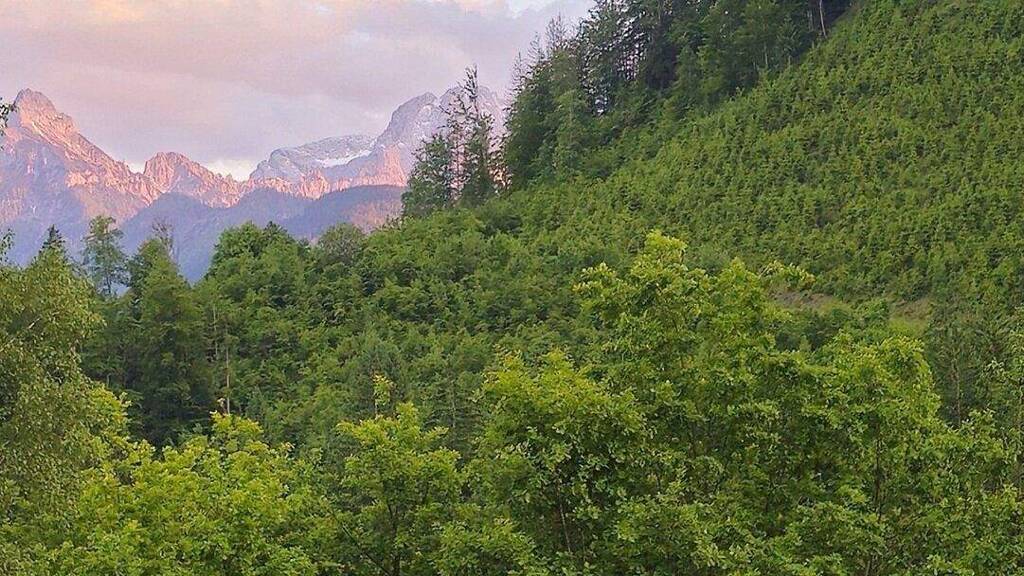 Bauernhof zum Kauf 260.000 m² Grundstück Sankt Gallen 8933